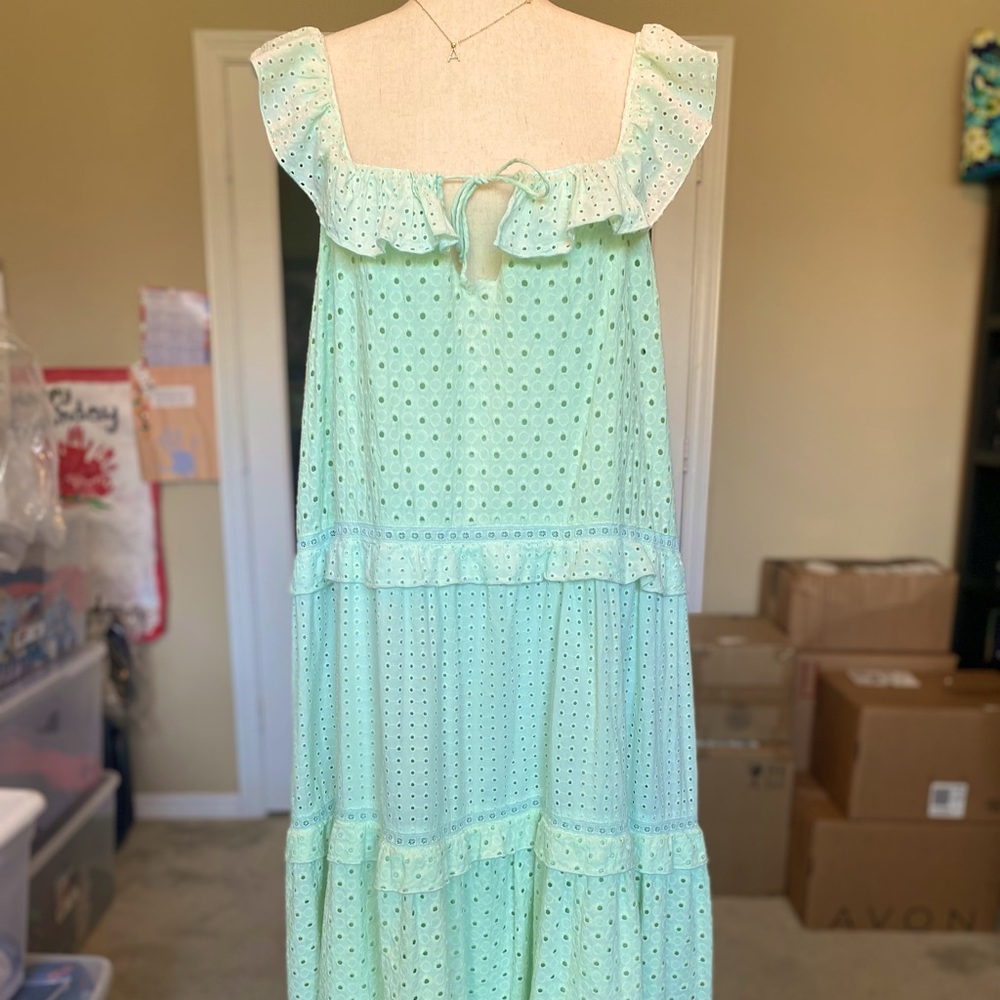 Zara Embroidered Lace Midi Dress NWT L - Picture 6 of 10